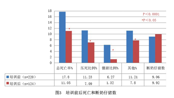 母豬過度管理引起的后果